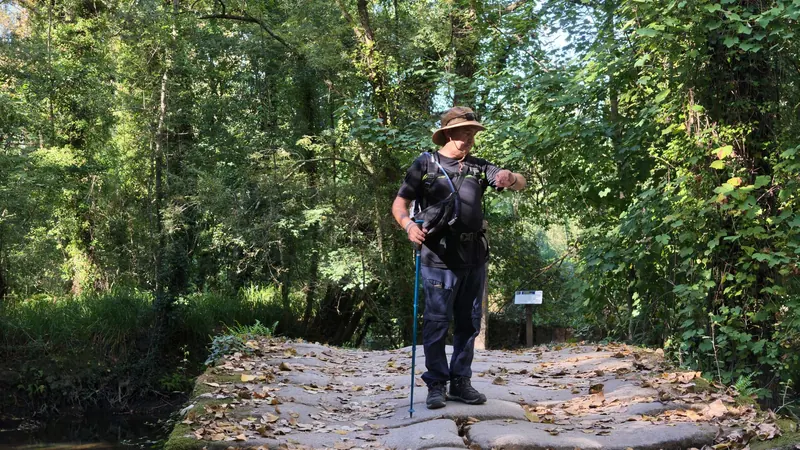 A hiker on a forest trail checking their watch, surrounded by lush greenery