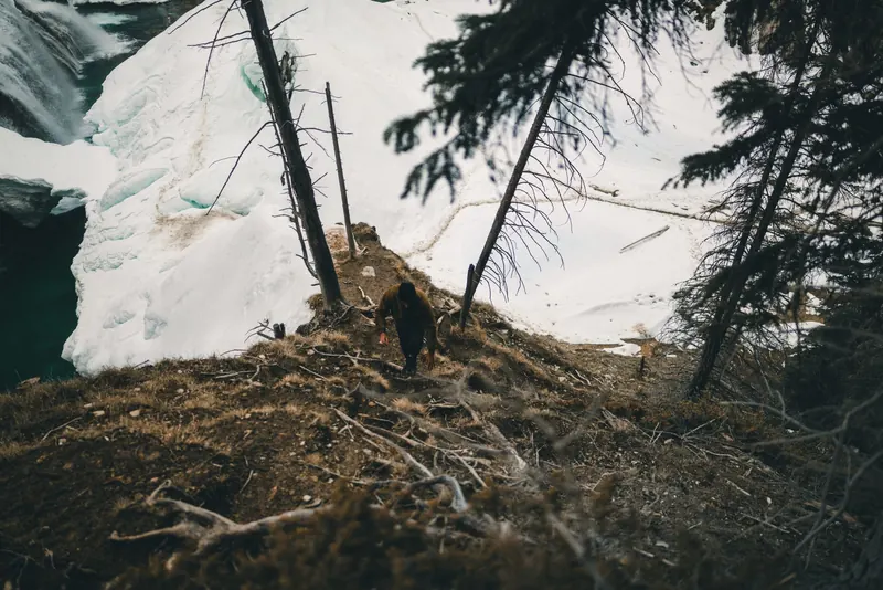 Adventurous hiker climbing steep path in snowy forest near waterfall in Field, British Columbia