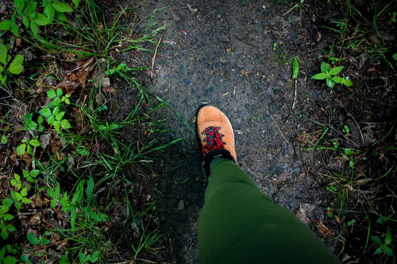 A close-up of a hiking boot on a dirt trail surrounded by lush green foliage