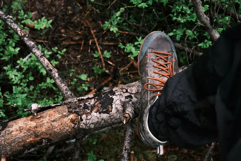 Detailed view of a hiking boot stepping on a woodland path with lush green foliage